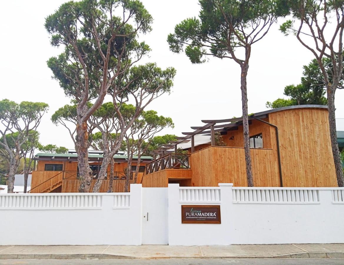Apartahotel Nuevos Biopasivos Living Pura Madera