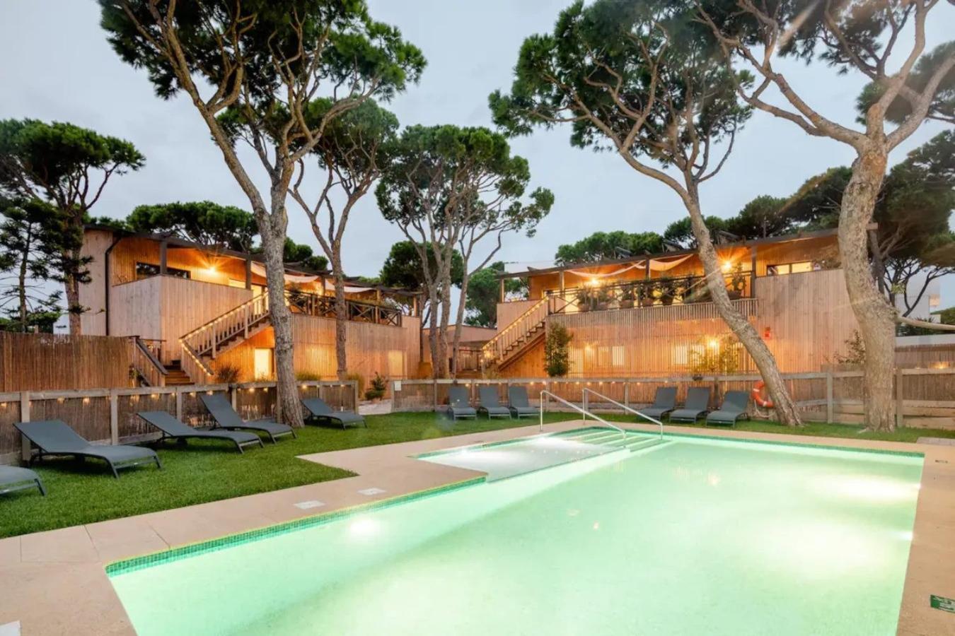 Nuevos Biopasivos Living Pura Madera Chiclana de la Frontera